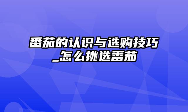 番茄的认识与选购技巧_怎么挑选番茄