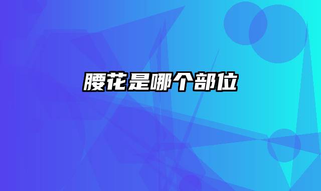 腰花是哪个部位