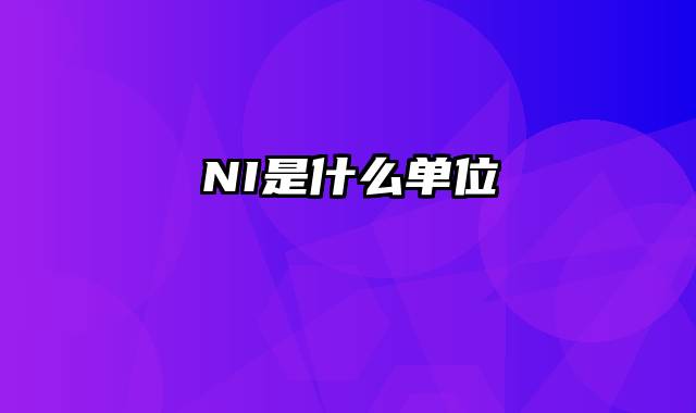 NI是什么单位