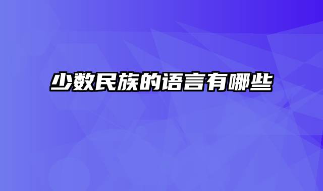少数民族的语言有哪些