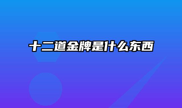 十二道金牌是什么东西