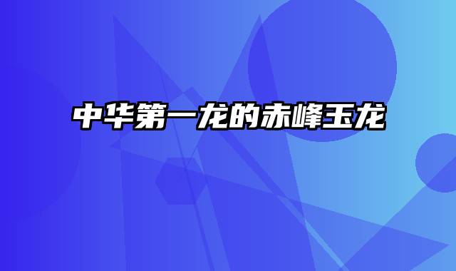 中华第一龙的赤峰玉龙