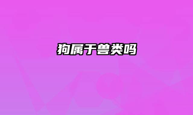 狗属于兽类吗