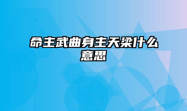 命主武曲身主天梁什么意思