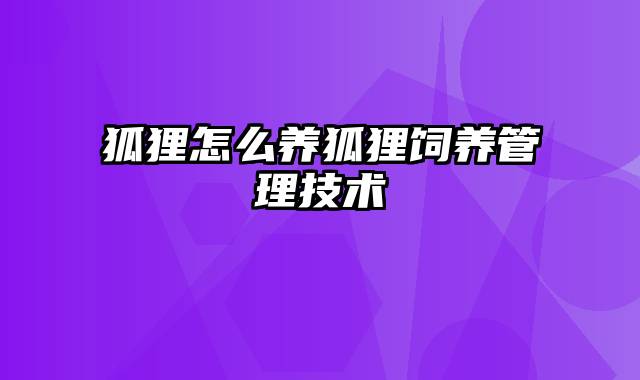 狐狸怎么养狐狸饲养管理技术