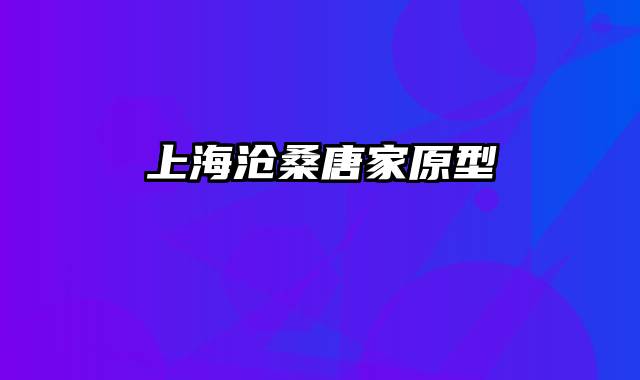 上海沧桑唐家原型