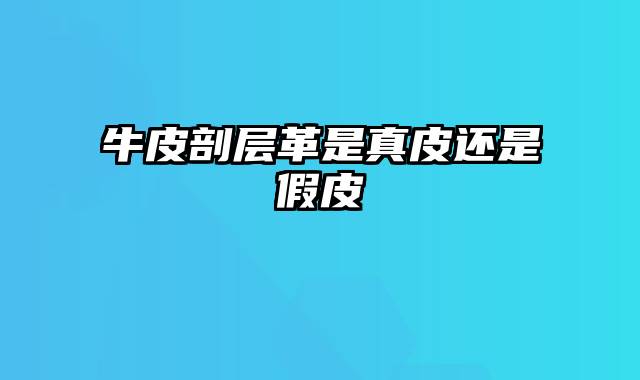 牛皮剖层革是真皮还是假皮