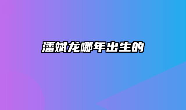 潘斌龙哪年出生的