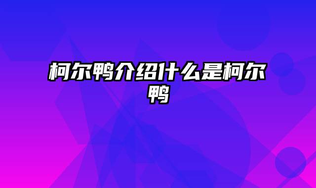 柯尔鸭介绍什么是柯尔鸭