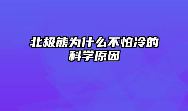 北极熊为什么不怕冷的科学原因