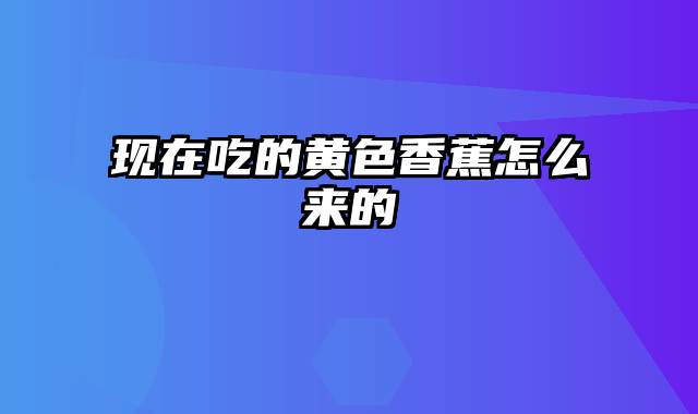 现在吃的黄色香蕉怎么来的