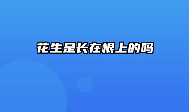 花生是长在根上的吗