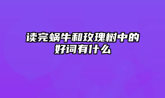 读完蜗牛和玫瑰树中的好词有什么