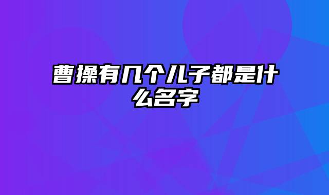 曹操有几个儿子都是什么名字