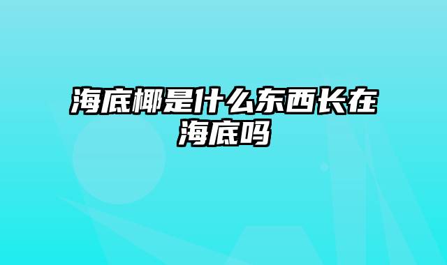 海底椰是什么东西长在海底吗