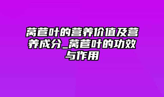 莴苣叶的营养价值及营养成分_莴苣叶的功效与作用