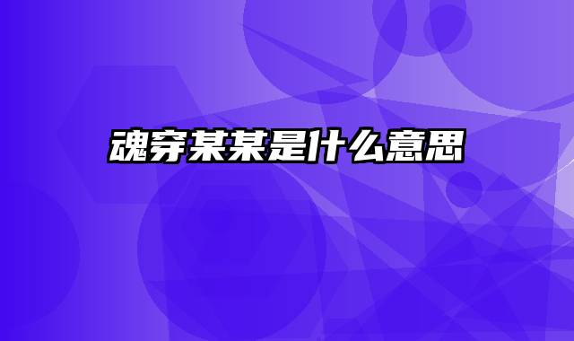 魂穿某某是什么意思
