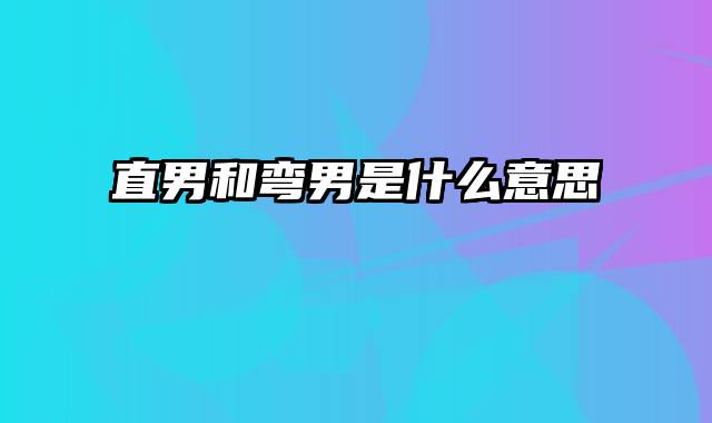 直男和弯男是什么意思