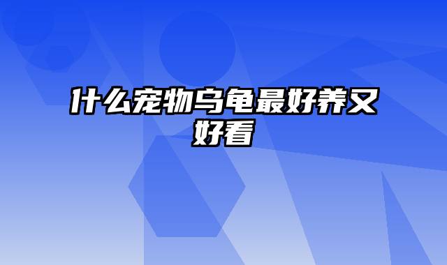 什么宠物乌龟最好养又好看