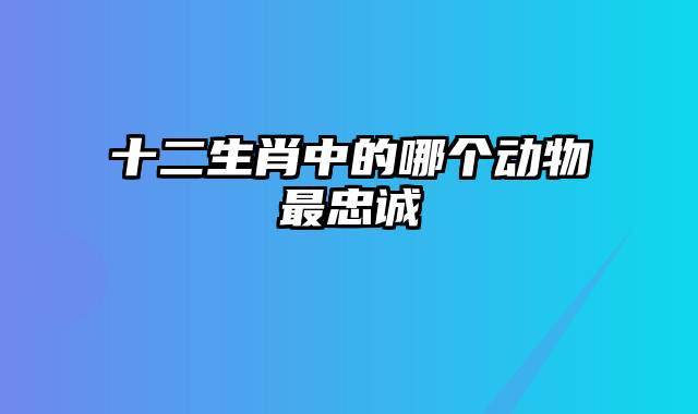 十二生肖中的哪个动物最忠诚