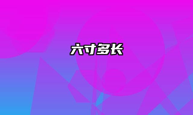 六寸多长