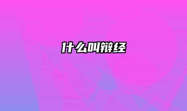 什么叫辩经