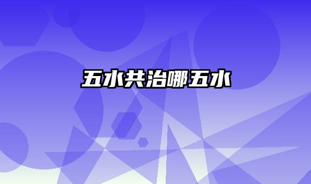 五水共治哪五水