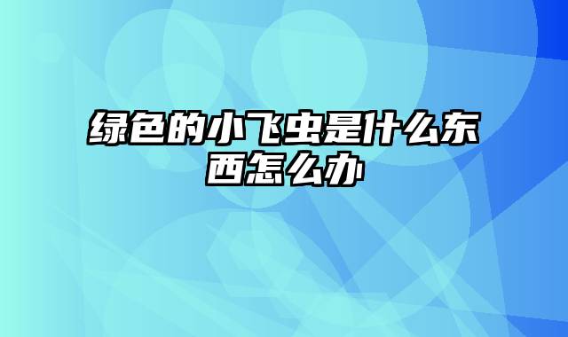 绿色的小飞虫是什么东西怎么办