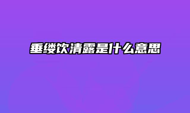 垂缕饮清露是什么意思