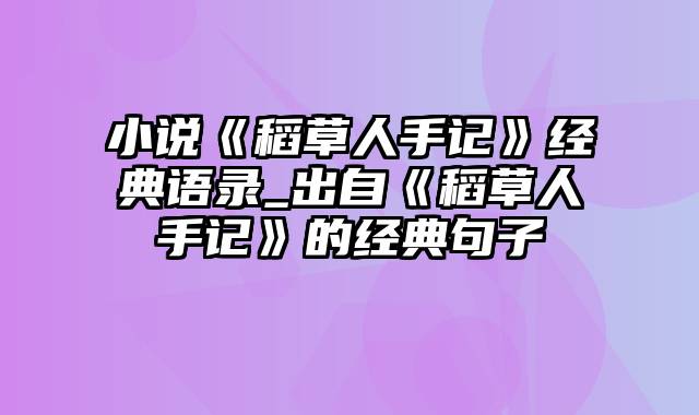 小说《稻草人手记》经典语录_出自《稻草人手记》的经典句子