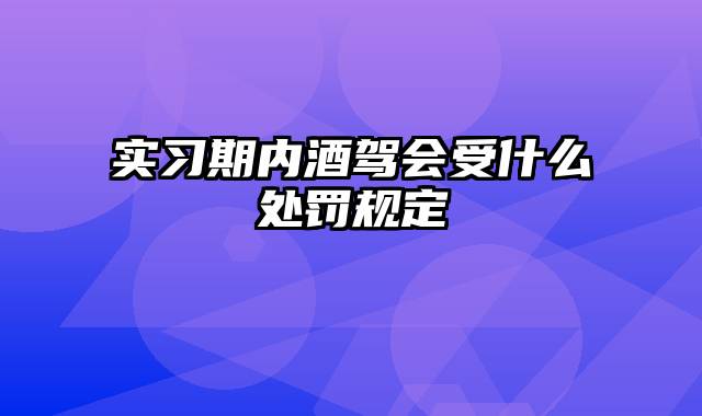 实习期内酒驾会受什么处罚规定