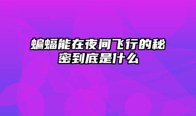 蝙蝠能在夜间飞行的秘密到底是什么