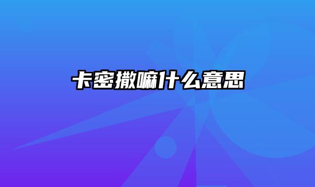 卡密撒嘛什么意思