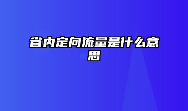 省内定向流量是什么意思