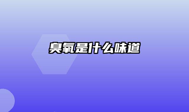 臭氧是什么味道