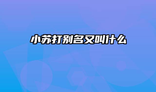 小苏打别名又叫什么