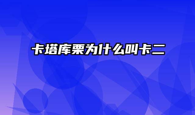 卡塔库栗为什么叫卡二