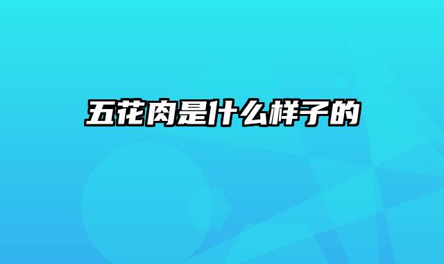 五花肉是什么样子的