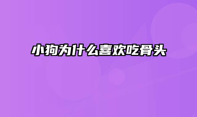 小狗为什么喜欢吃骨头