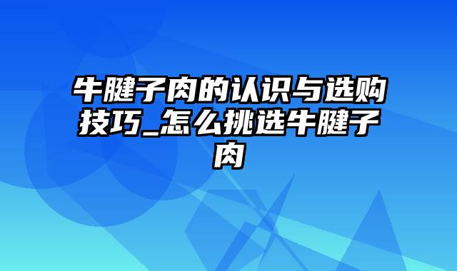 牛腱子肉的认识与选购技巧_怎么挑选牛腱子肉