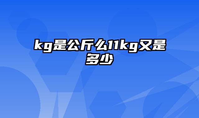 kg是公斤么11kg又是多少
