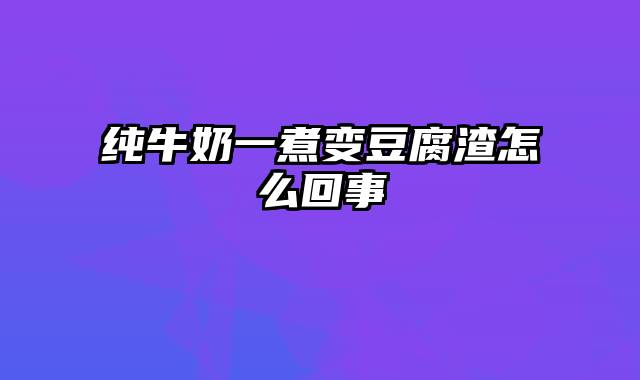 纯牛奶一煮变豆腐渣怎么回事