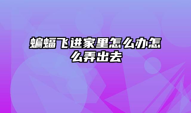 蝙蝠飞进家里怎么办怎么弄出去