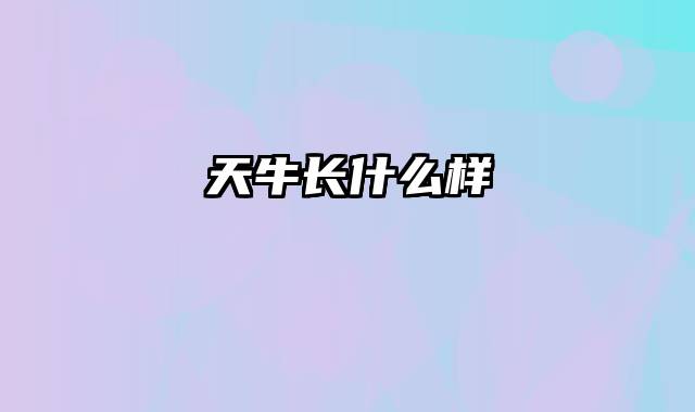 天牛长什么样