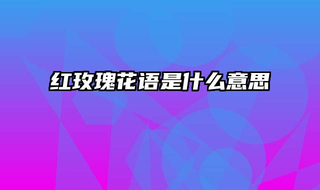 红玫瑰花语是什么意思