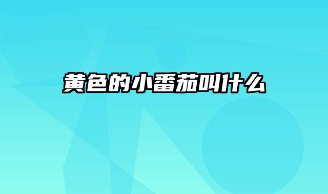 黄色的小番茄叫什么