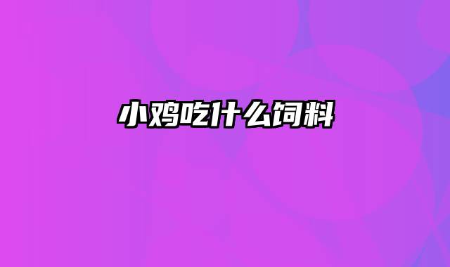 小鸡吃什么饲料