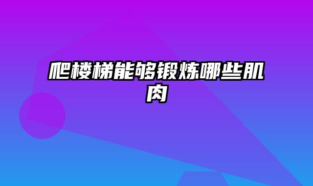 爬楼梯能够锻炼哪些肌肉