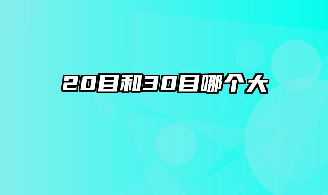 20目和30目哪个大