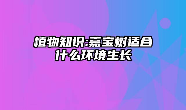 植物知识:嘉宝树适合什么环境生长